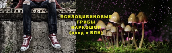 прущий лед Нестеровская
